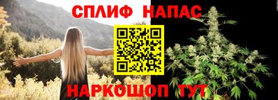 спиды Краснодар